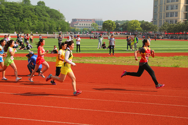 公司在校第三十五届春季运动会中获佳绩